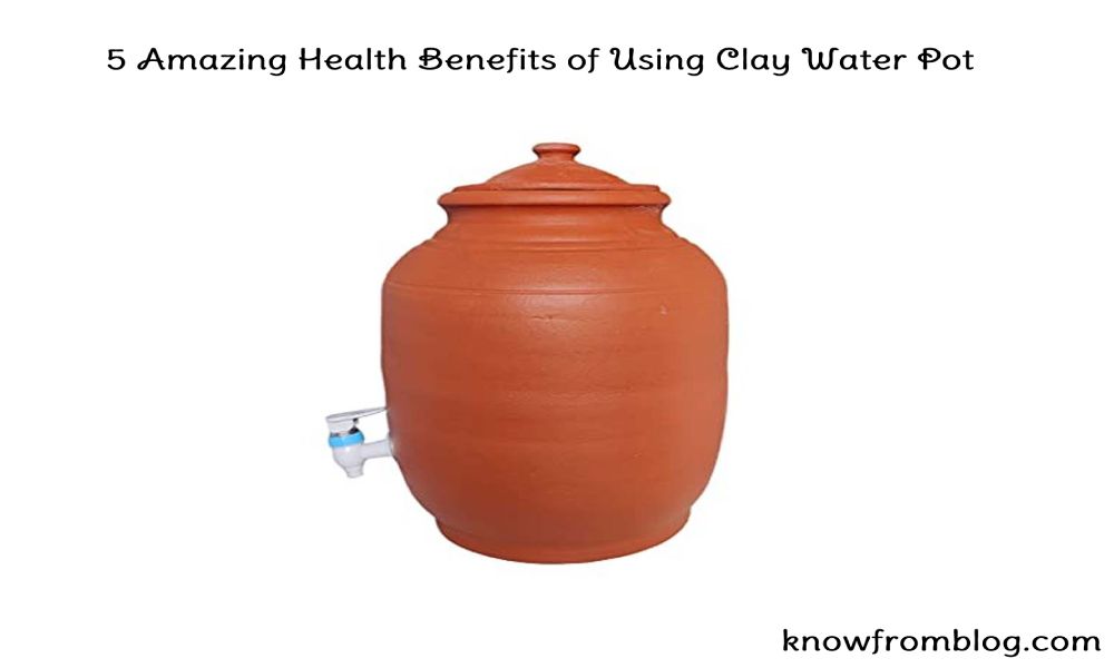 5 Amazing Health Benefits of Using Clay Water Pot